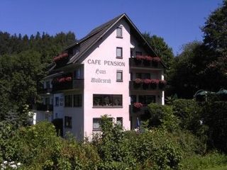 Pension Willingen Cafe-Pension Waldesruh picture 1