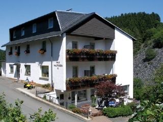 Pension Willingen Pension Haus Waldfrieden picture 1